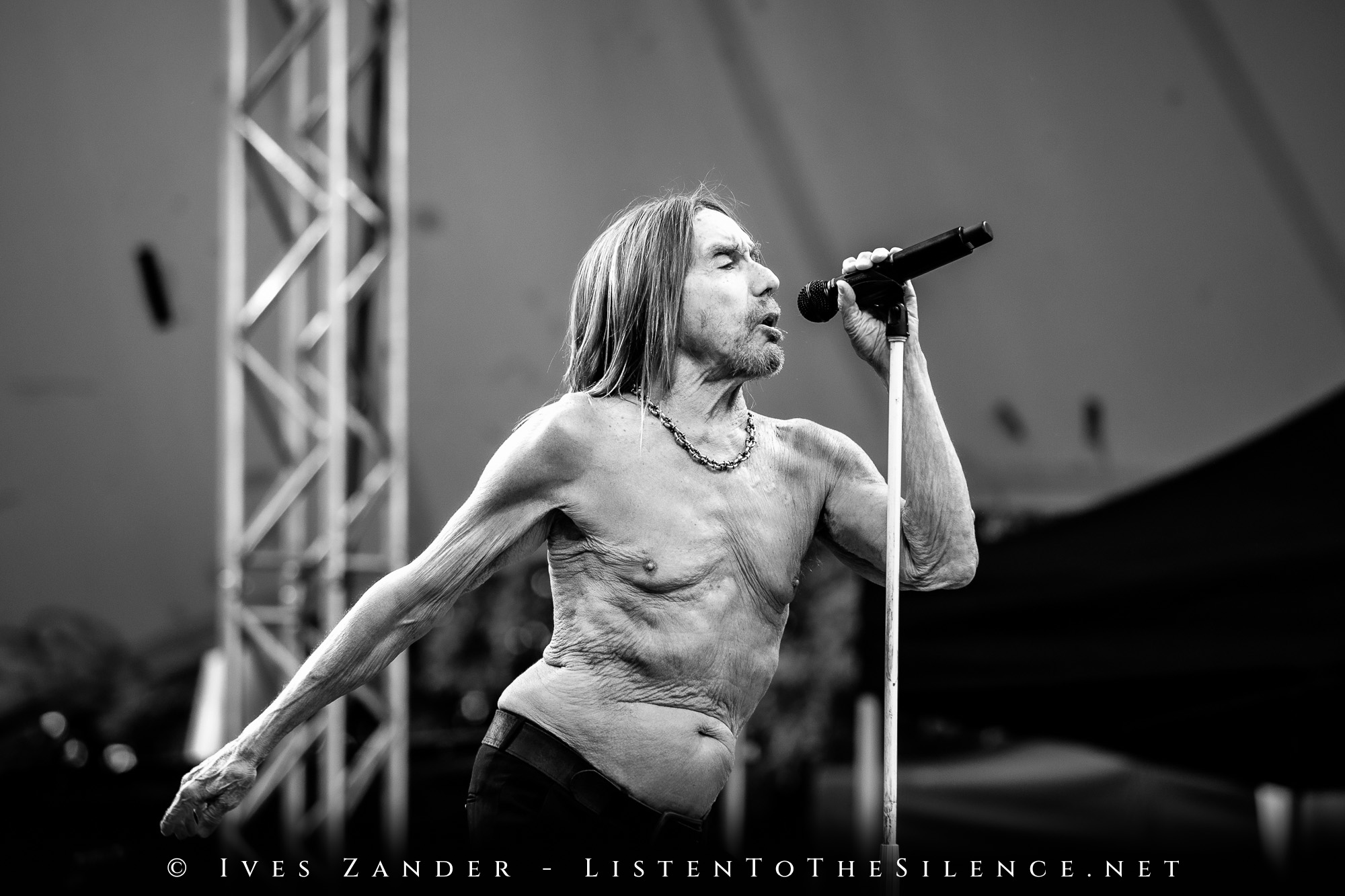 Iggy Pop<br/>Peißnitzinsel Halle/Saale 2025