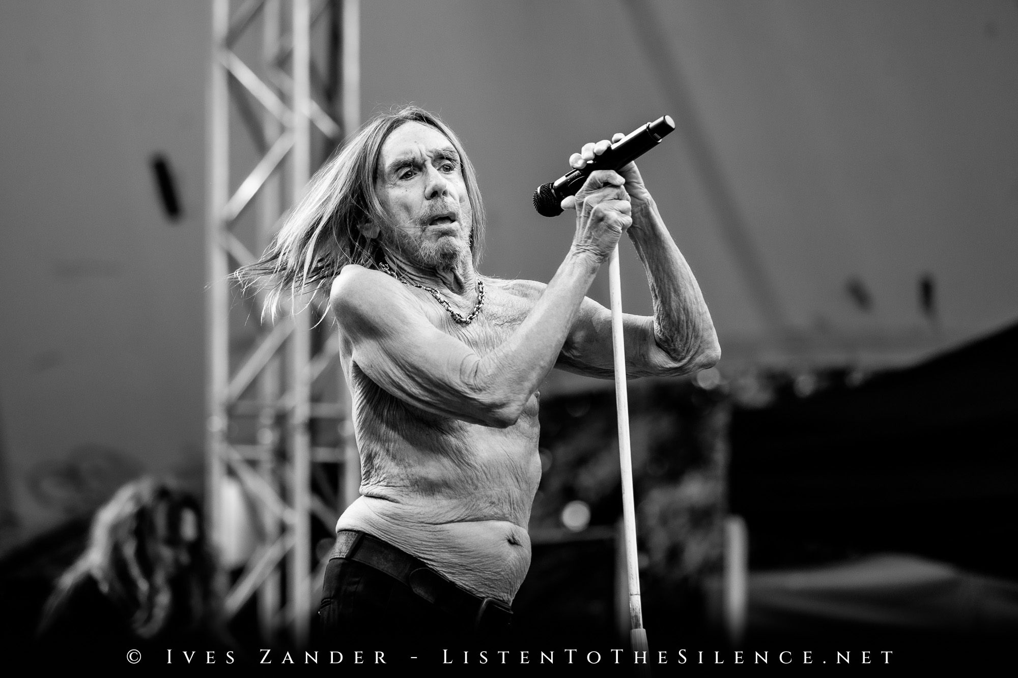 Iggy Pop<br/>Peißnitzinsel Halle/Saale 2025