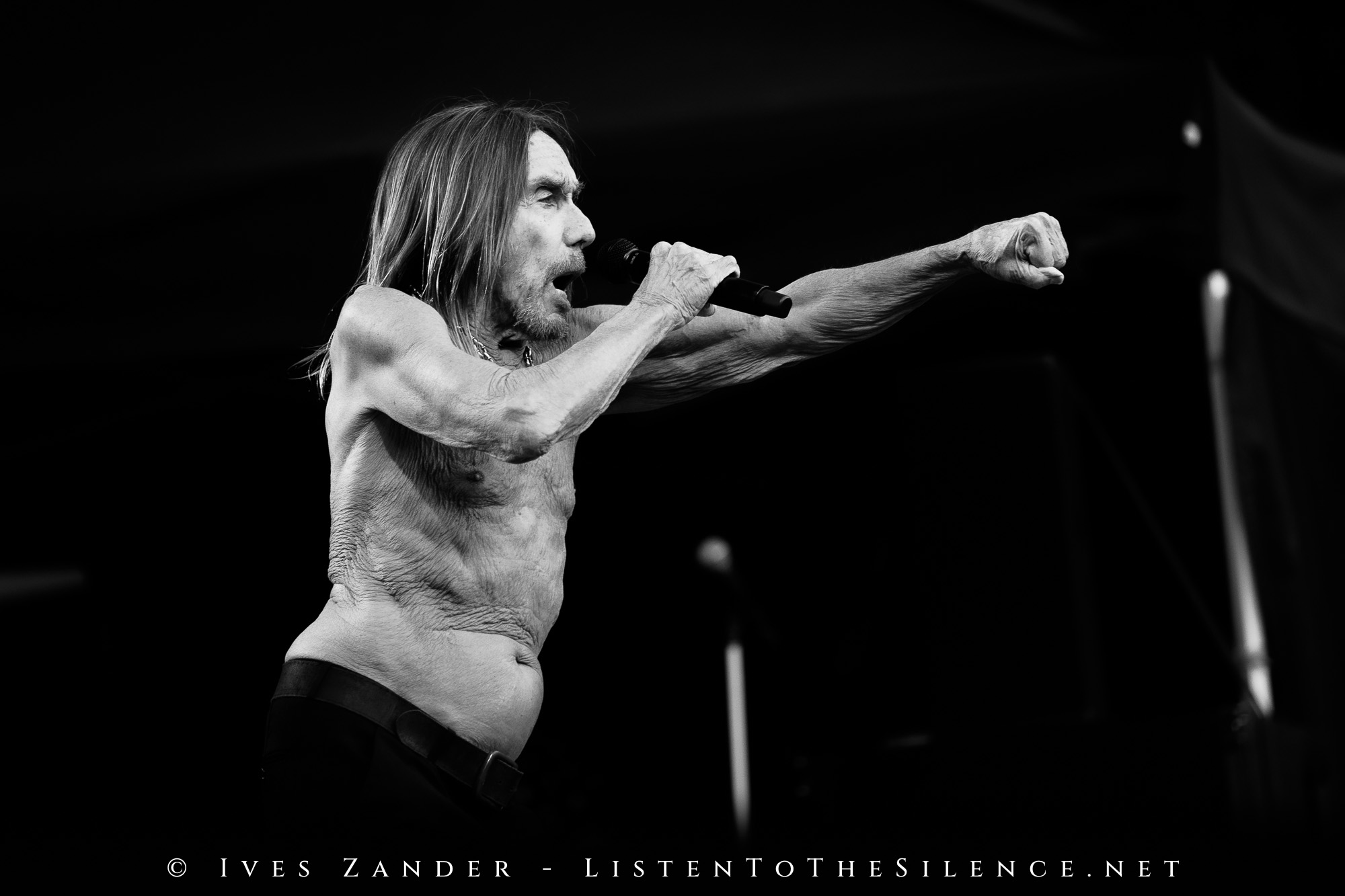 Iggy Pop<br/>Peißnitzinsel Halle/Saale 2025