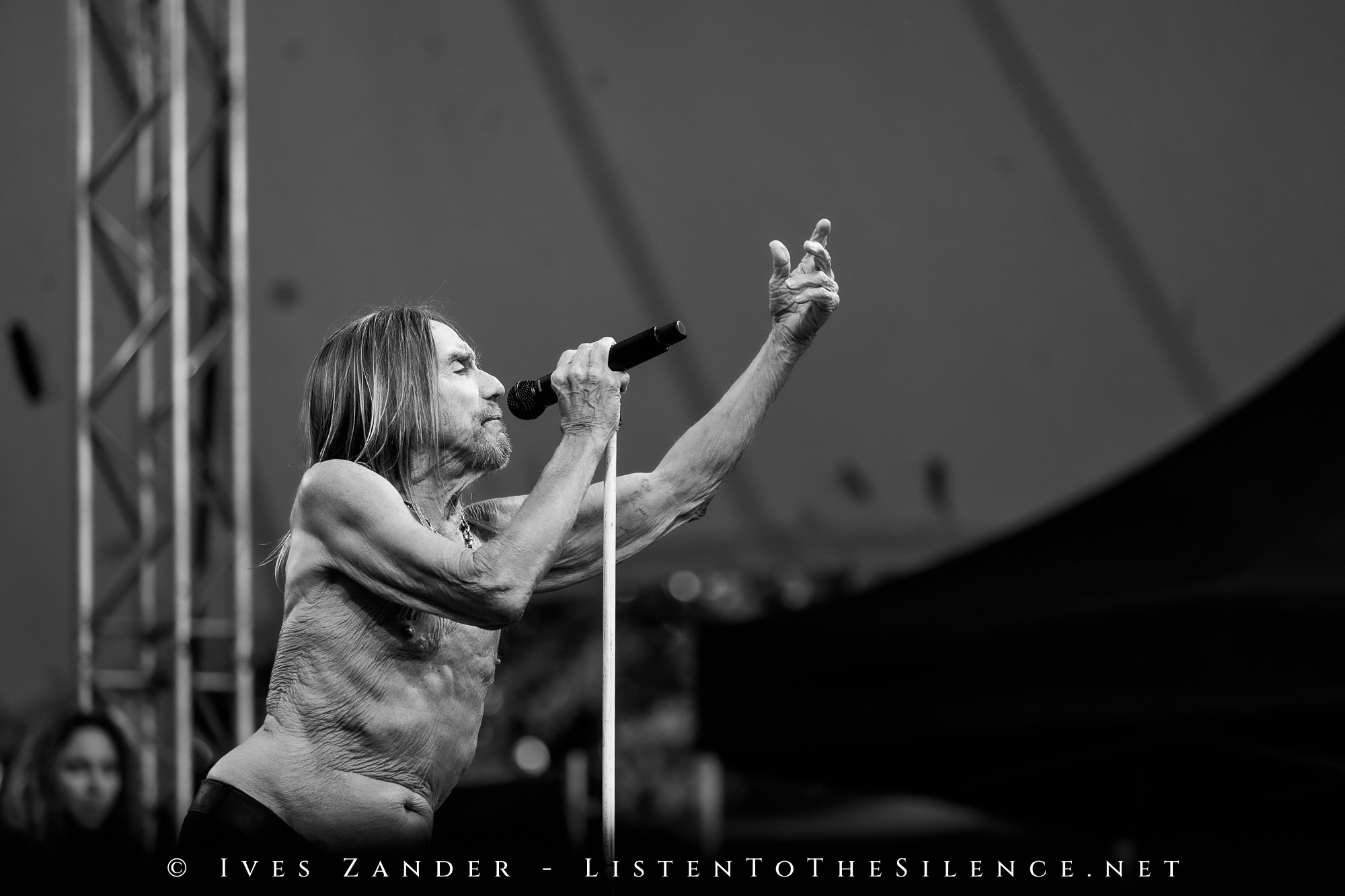 Iggy Pop<br/>Peißnitzinsel Halle/Saale 2025