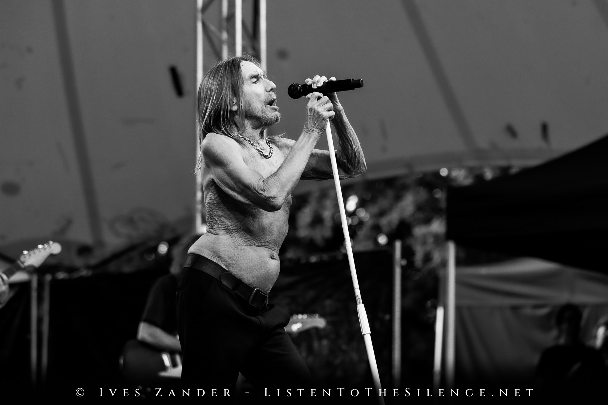 Iggy Pop<br/>Peißnitzinsel Halle/Saale 2025