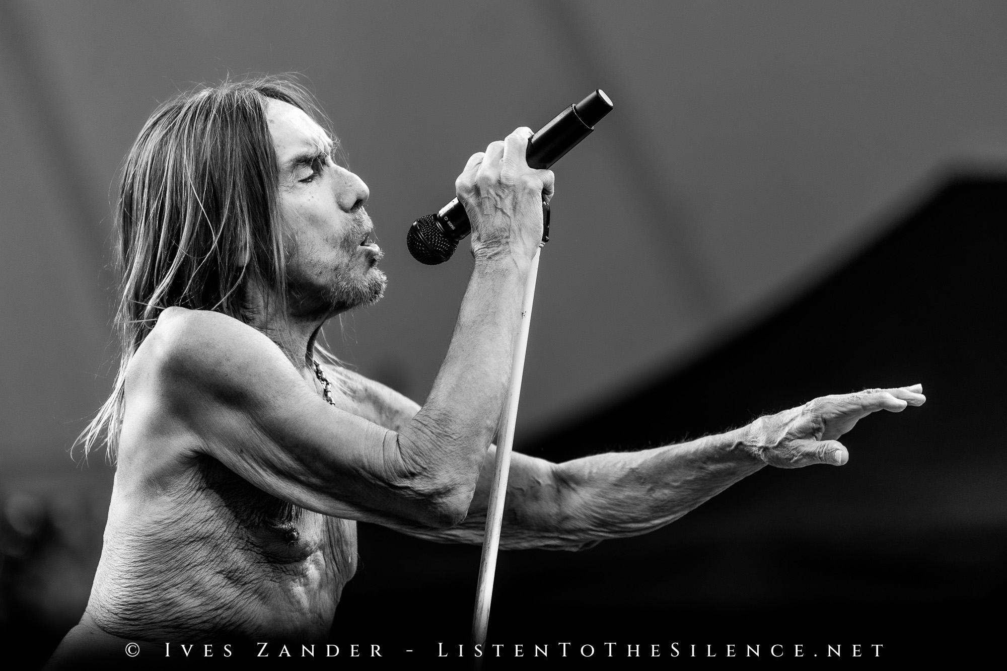 Iggy Pop<br/>Peißnitzinsel Halle/Saale 2025