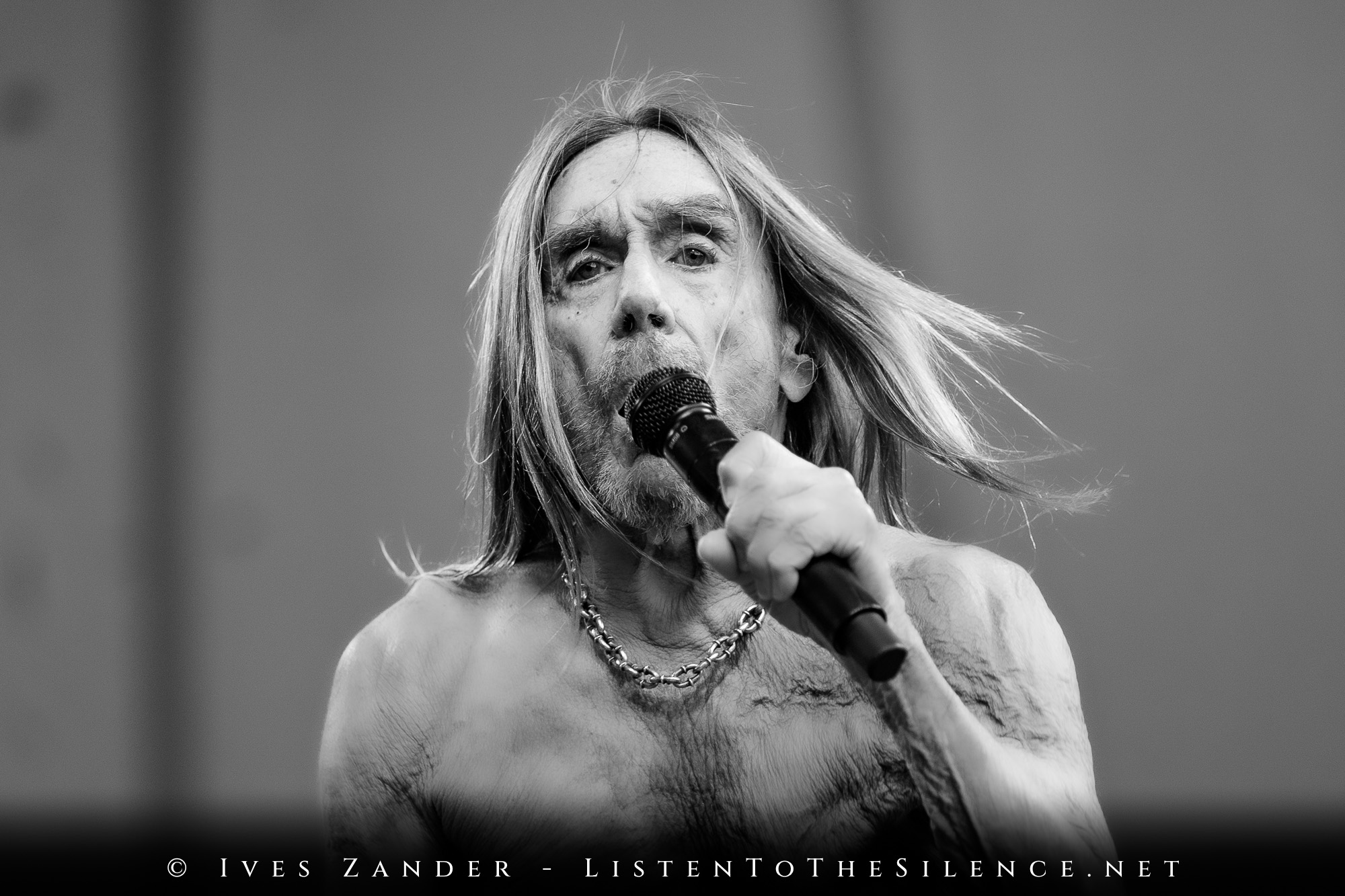 Iggy Pop<br/>Peißnitzinsel Halle/Saale 2025