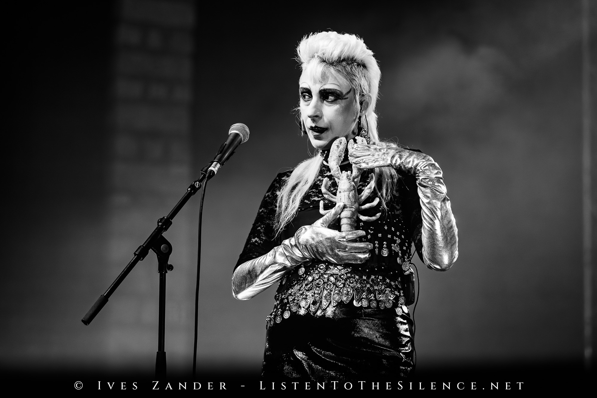 Selofan<br/>Cold Hearted Festival Dresden 2025